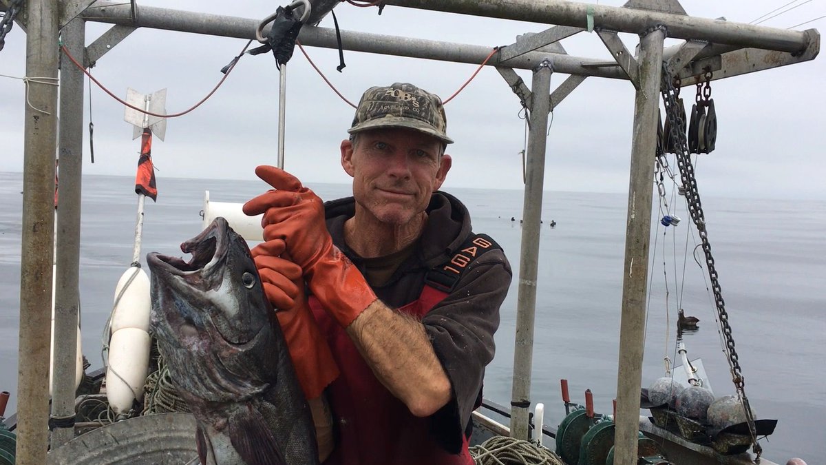 Honor American Fishermen on Independence Day! The men and women of the US fleet create a livelihood with no boundaries upon an unforgiving ocean. They feed both our families and theirs, and help keep watch on our maritime borders. Eat American fish, and thank American Fishermen.