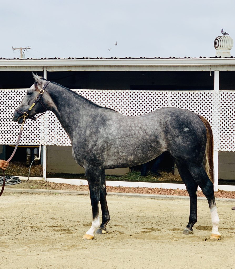 Tom Ryan tweet media