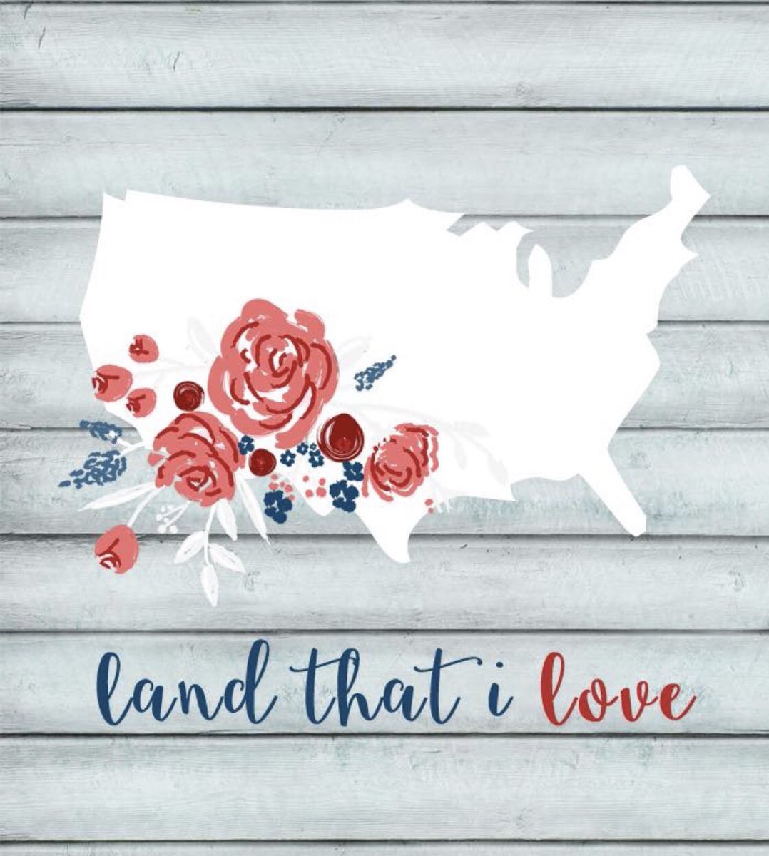 FinnsFantastics's tweet photo. Happy 4th of July from our family to yours! #4thofjuly2019 #LetFreedomRun https://t.co/wXukYYgRJB