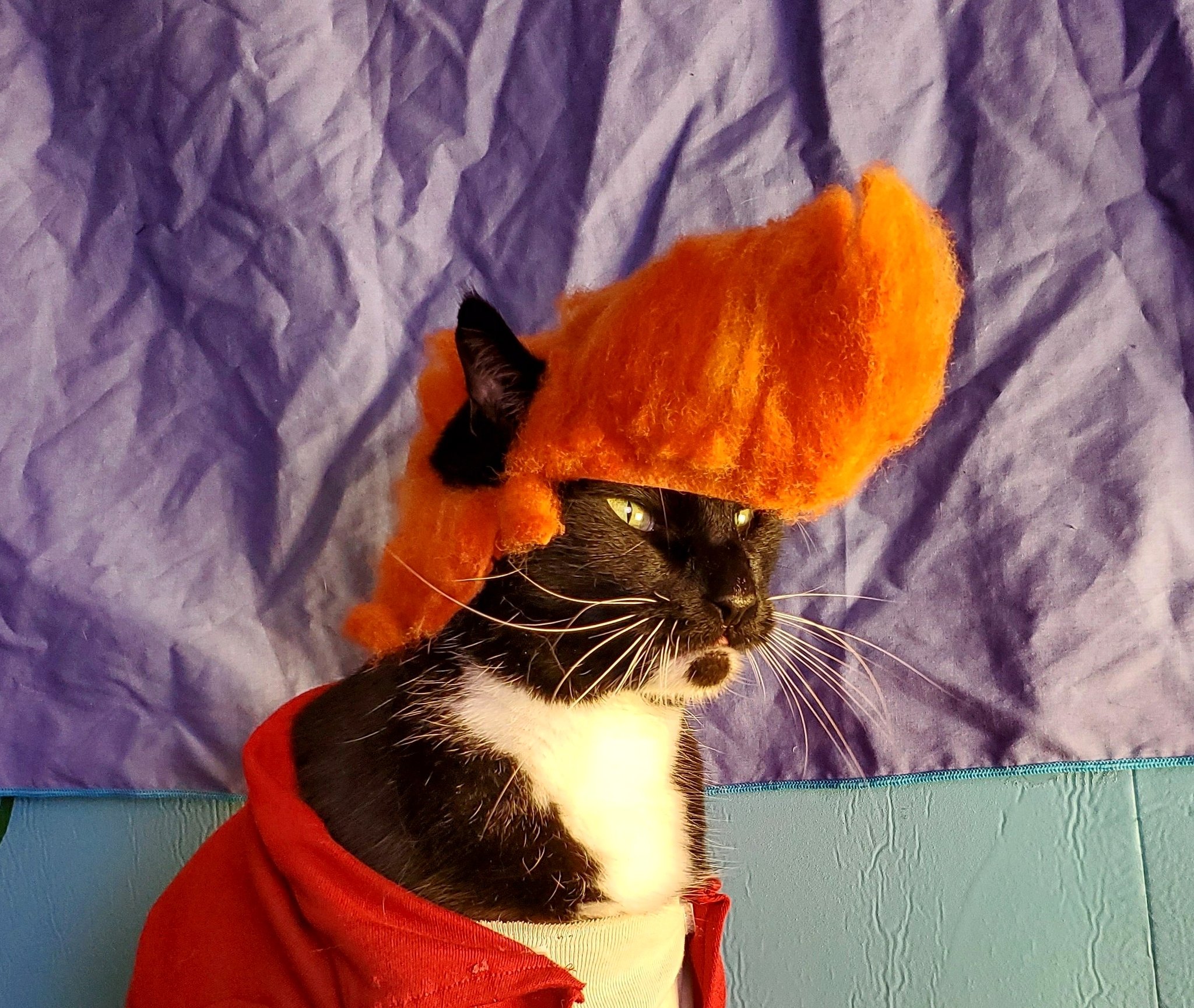Cat Cosplay Here Is The Blank You Want To Do Your Own Not Sure If Fry Cat Meme T Co Evmyvwvn5l Twitter