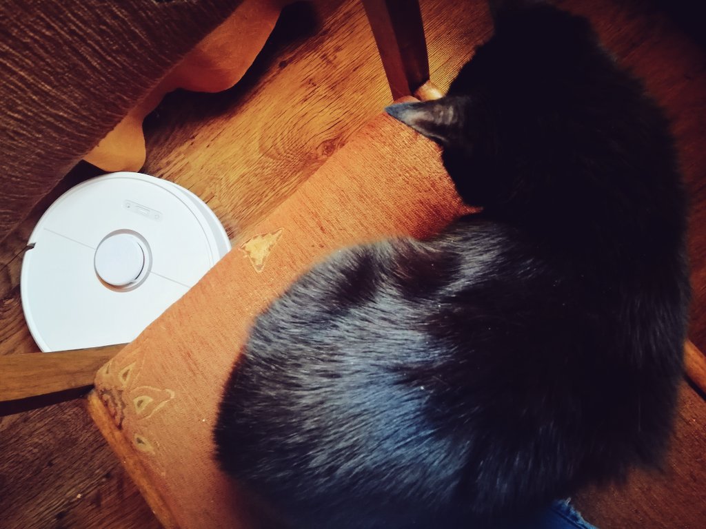 tsumidesho's tweet image. Zuzia i #RoborockS6 - historia prawdziwa.