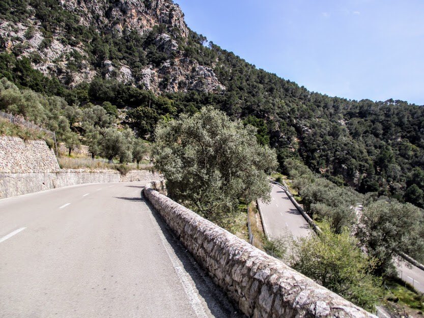 Impresionant la pujada al Coll de Sóller des de Palma per una carretera com les d’abans amb més de 20 curves de ferradura i entre bancals d’oliveres. M’he enamorat de la Serra de Tramuntana, tant amb bici com a peu. @PacoWatios <a href="/SerraAmunt/">Serra Amunt</a> <a href="/PepinoAcn/">Pepino Acn</a> @joan_ninguna <a href="/caminsnatura/">Camins en la natura</a>
