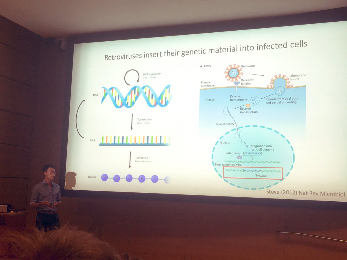 ColliverEmma's tweet image. Watching @KevinWNg demystify the science of retroviruses at @TheCrick #OutThinkers event 🌈👩‍🔬👨‍🔬