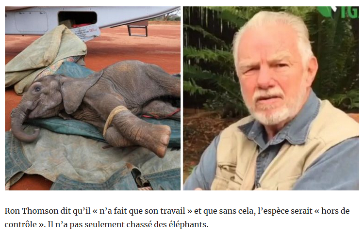 ChasseAbolition's tweet photo. #braconnage #chasse #antichasse
il a tué 5 000 éléphants et ne le regrette même pas un peu.
https://t.co/2dFRhnWWWD
#RonThomson https://t.co/DlzrqJKXEl
