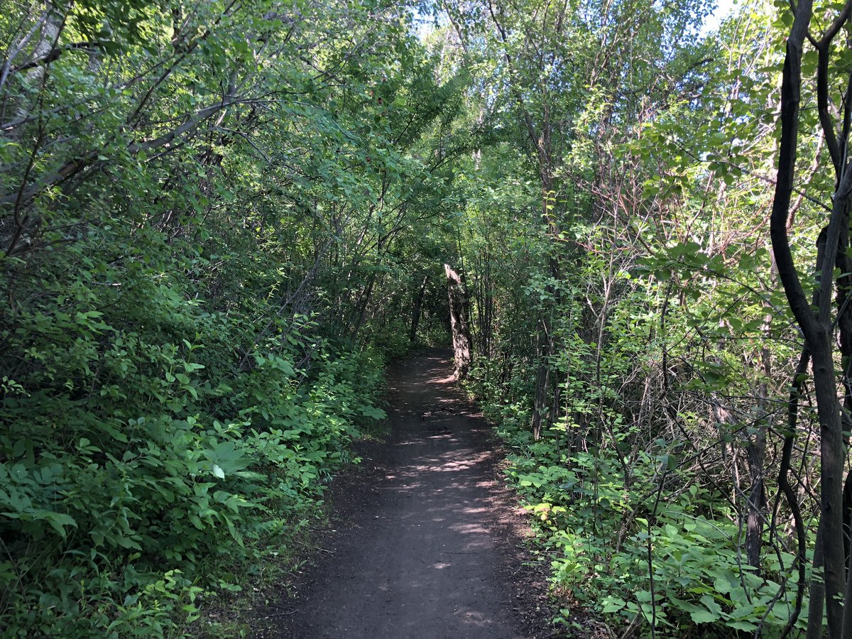 Denise13F's tweet photo. 4.4miles of gorgeous trails. 
#HeForSheRunners
#earthathon
#RunningOnHope
#MorningRoutine
An amazing morning run with @Tim13S along the South Saskatchewan River. Running helps me cope with #PTSD #EndTheStigma #Mentalillness https://t.co/4yTGHuDMuv