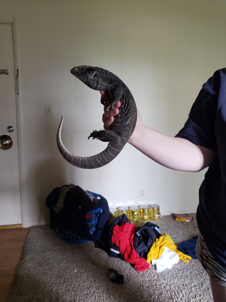 EBKxBUCK tweet media