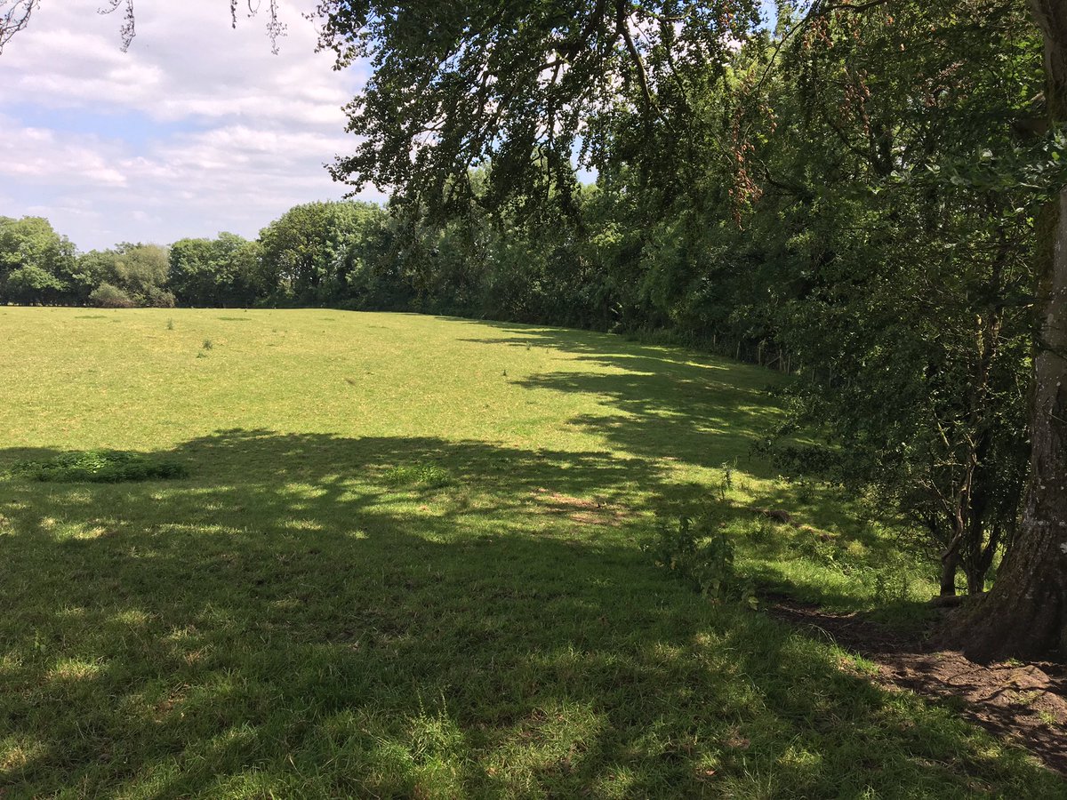 sandramcgeo's tweet photo. In Vobster Cross #Somerset are the remnants of an unfinished canal for which William Smith surveyed the #geology c 1800. Still visible from earthworks and these trees. Local gem found with help from the @OrdnanceSurvey #OSPuzzleBook! https://t.co/241ayHYWRj