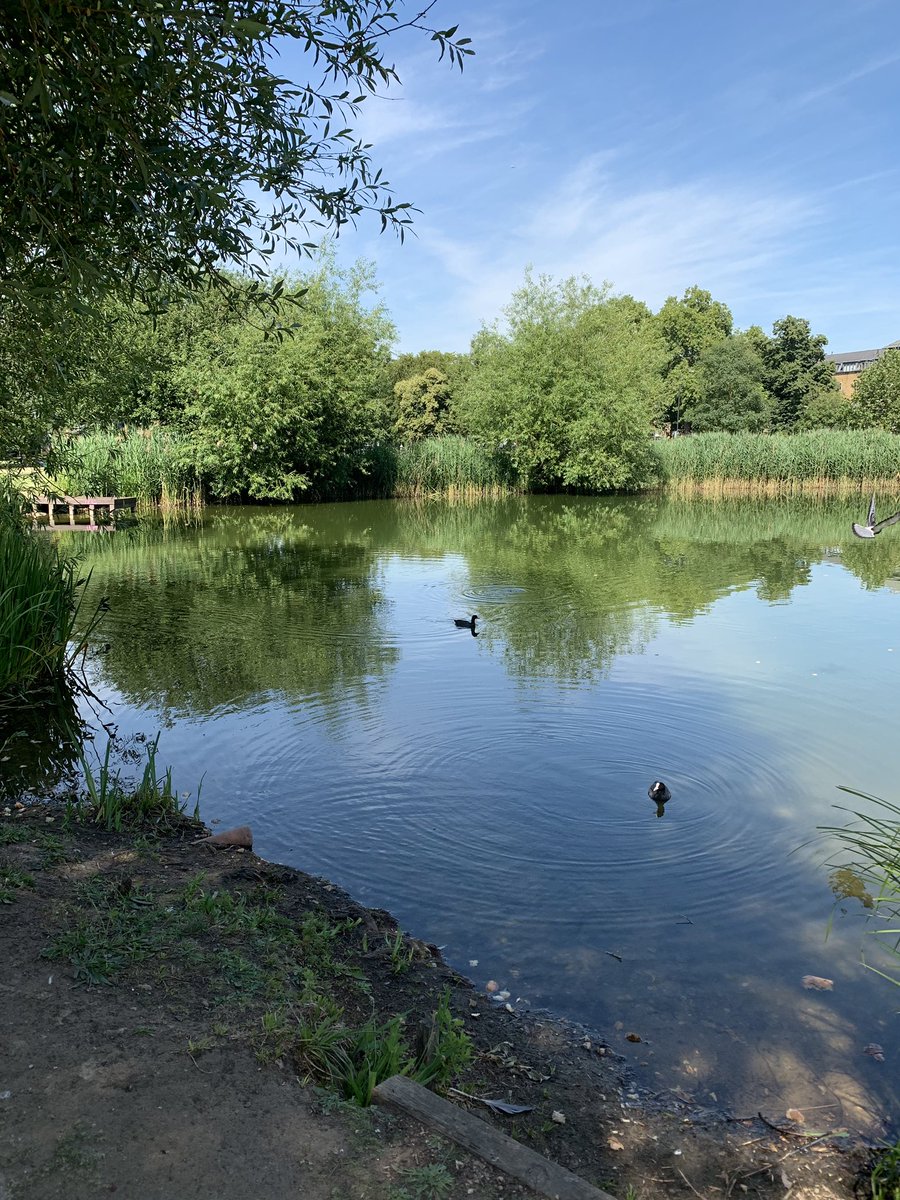 soundarticle's tweet photo. Clapham Common this afternoon #Claphamcommon #clapham @ClaphamCommon1 @clphmcommonMAC @ClaphamSociety @CoolClapham https://t.co/ZK5vkbmfKJ