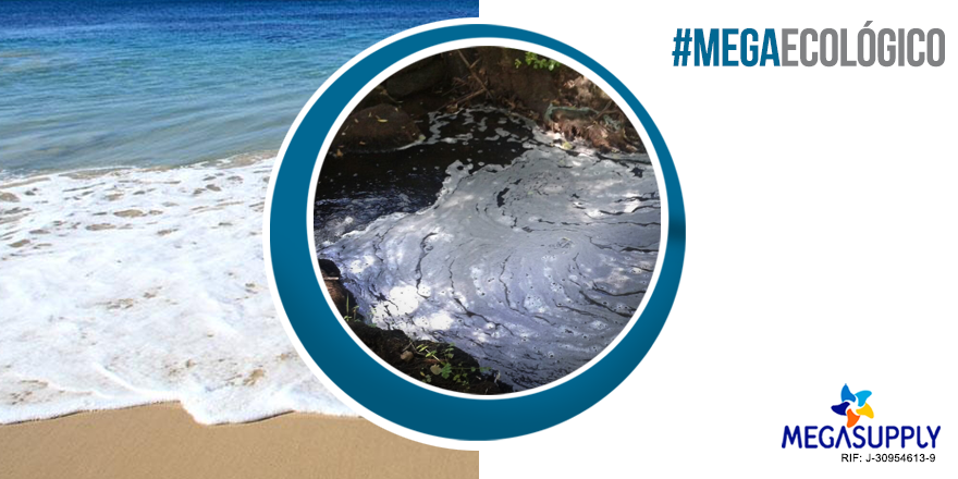 MegasupplyES's tweet photo. #MegaEcológico Si los detergentes con altos niveles de fosfatos llegan al mar a través de las corrientes de agua, pueden matar a los animales acuáticos. ¡Evita usar detergentes con fosfatos! 

#Megasupply #Océanos #CuidaTuAmbiente https://t.co/Gqx2XMAOhV