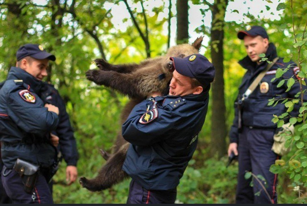 For what? Enjoying a succulent Chinese meal? Get your hands off me!