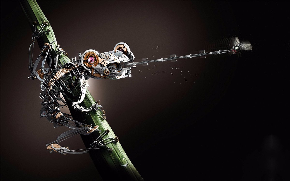 He never thought of that. He’s thinking now!