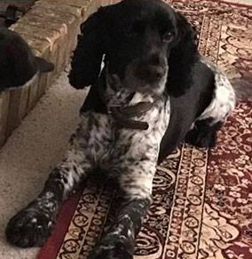 Liz Quinn tweet media