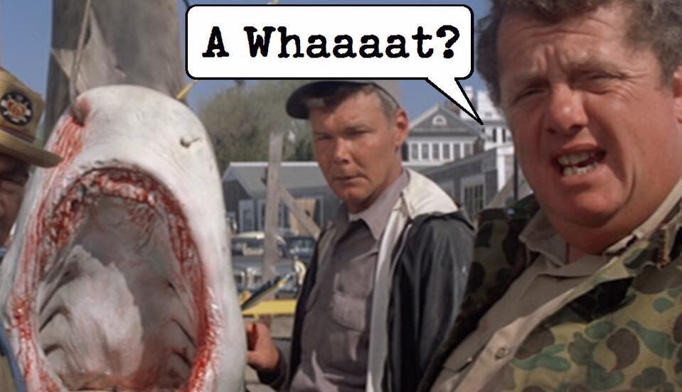 AnnieStoic's tweet photo. You yell shark, weβve got a panic on our hands on the 4th of July!
π¦πΊπΈ #jaws #awhat #tigershark #Happy4thofJuly https://t.co/ypAao4Sgor