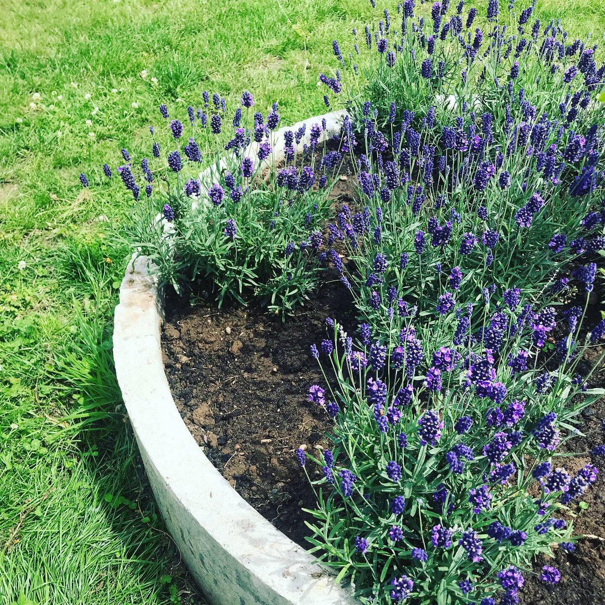 Miss Jones tweet media