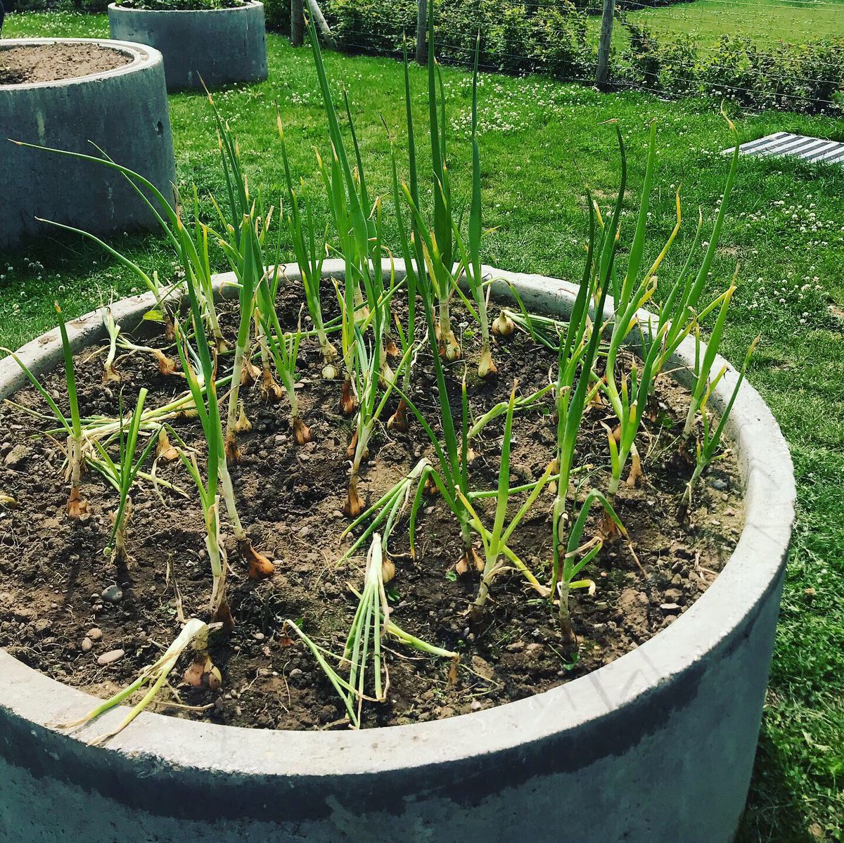 Miss Jones tweet media