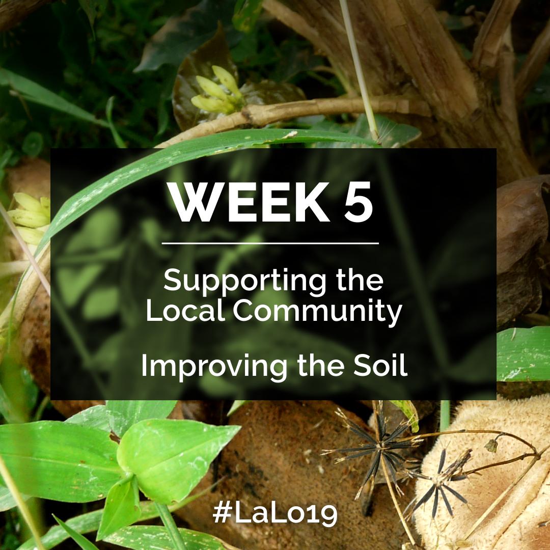 Our partnership has had some real, lasting effects on the area local to La Lomita. Here we'll see a school that's benefitted from donations made by Vagabond customers! Also, a look at how La Lomita has improved upon the hand it was dealt by ethically remineralising the soil.