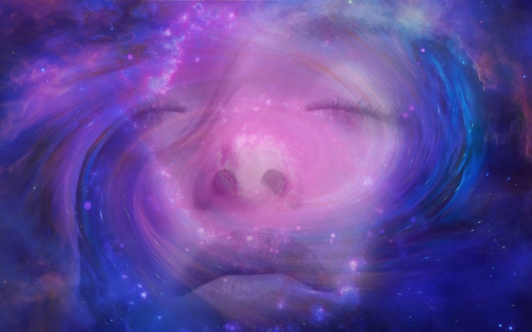 attila_kovesi's tweet image. @rubenderonde 's trance dreams \o/
#ASOT921