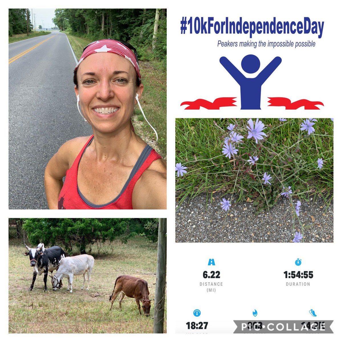 IowagirlinSoMd's tweet photo. What a great tradition! #10KforIndependenceDay brings hundreds of Peakers together across the globe for this virtual event. #MPCEffect So happy to be able to walk the full 10k this year! @MyPeakChallenge @ChesaPeakers @SamHeughan @jordana_brown https://t.co/9EfckSWxw0