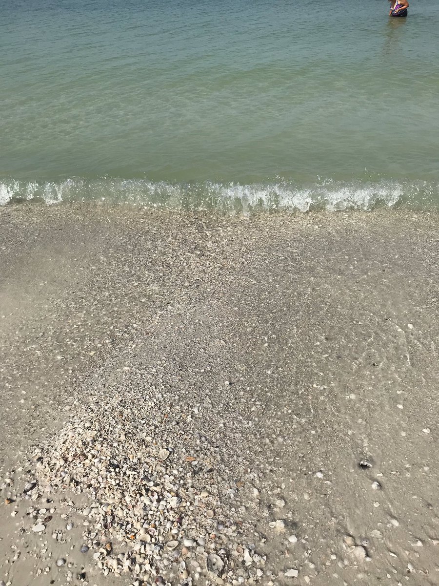 sdalwayz's tweet image. Happy 4th!!! 🇺🇸 #beachstuff