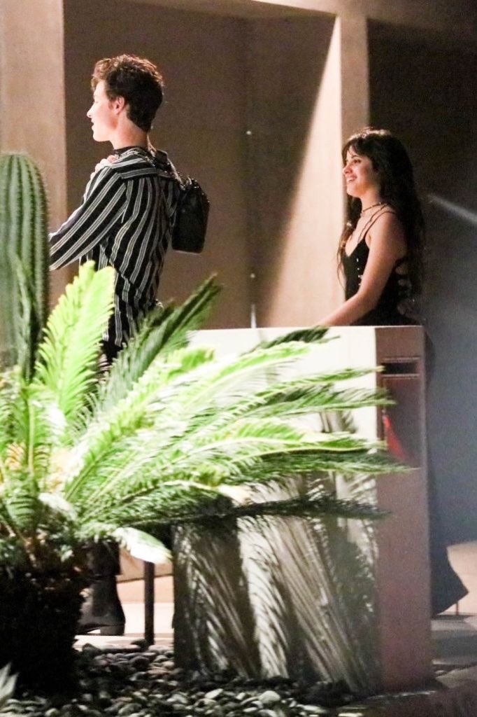 CamilaMidia's tweet image. Camila com @ShawnMendes ontem à noite em West Hollywood.