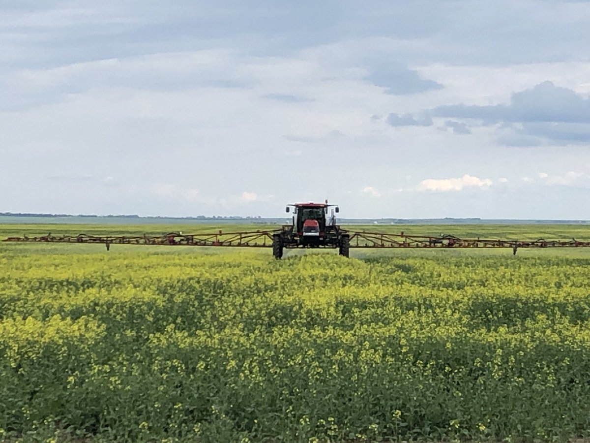 SeCanLauren's tweet photo. One of G-Mac’s Field Verified Trials. ActiveFlower getting sprayed on #canola near Lucky Lake #Sask Stay tuned for results in our meetings this winter! #Trial19 #GmacsLuckyLake https://t.co/AMibhpBmvR