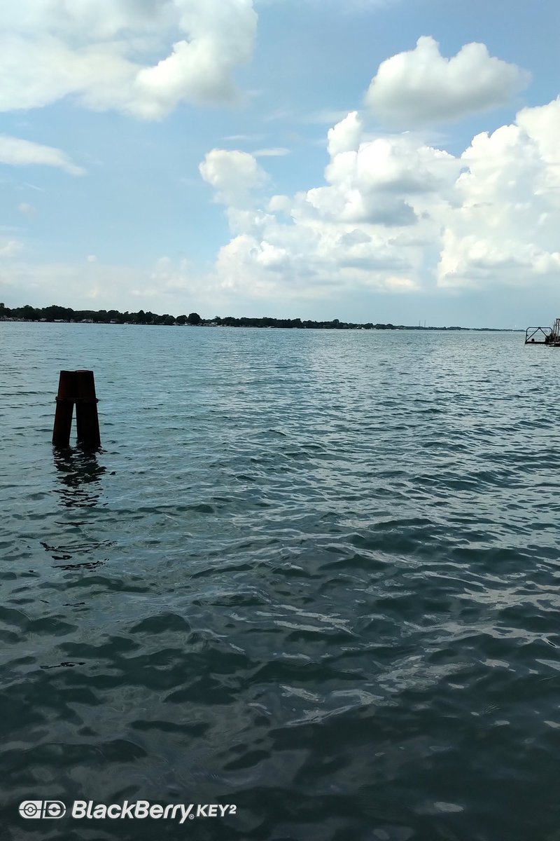 Todd Shepley tweet media