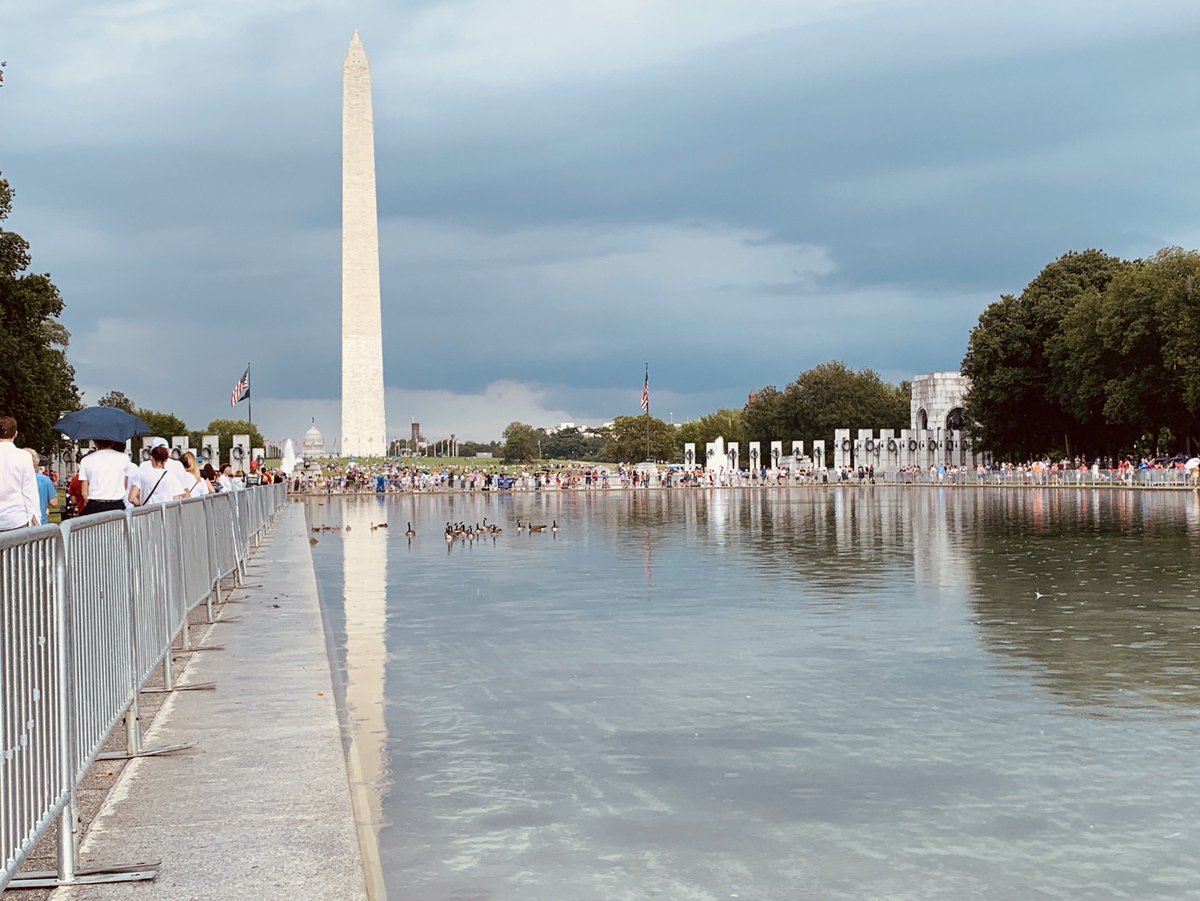 bforte22's tweet image. The ducks seem to be enjoying the #priorityseating here on the #NationalMall #reflectingpool @jackiebensen #4thofJuly #America