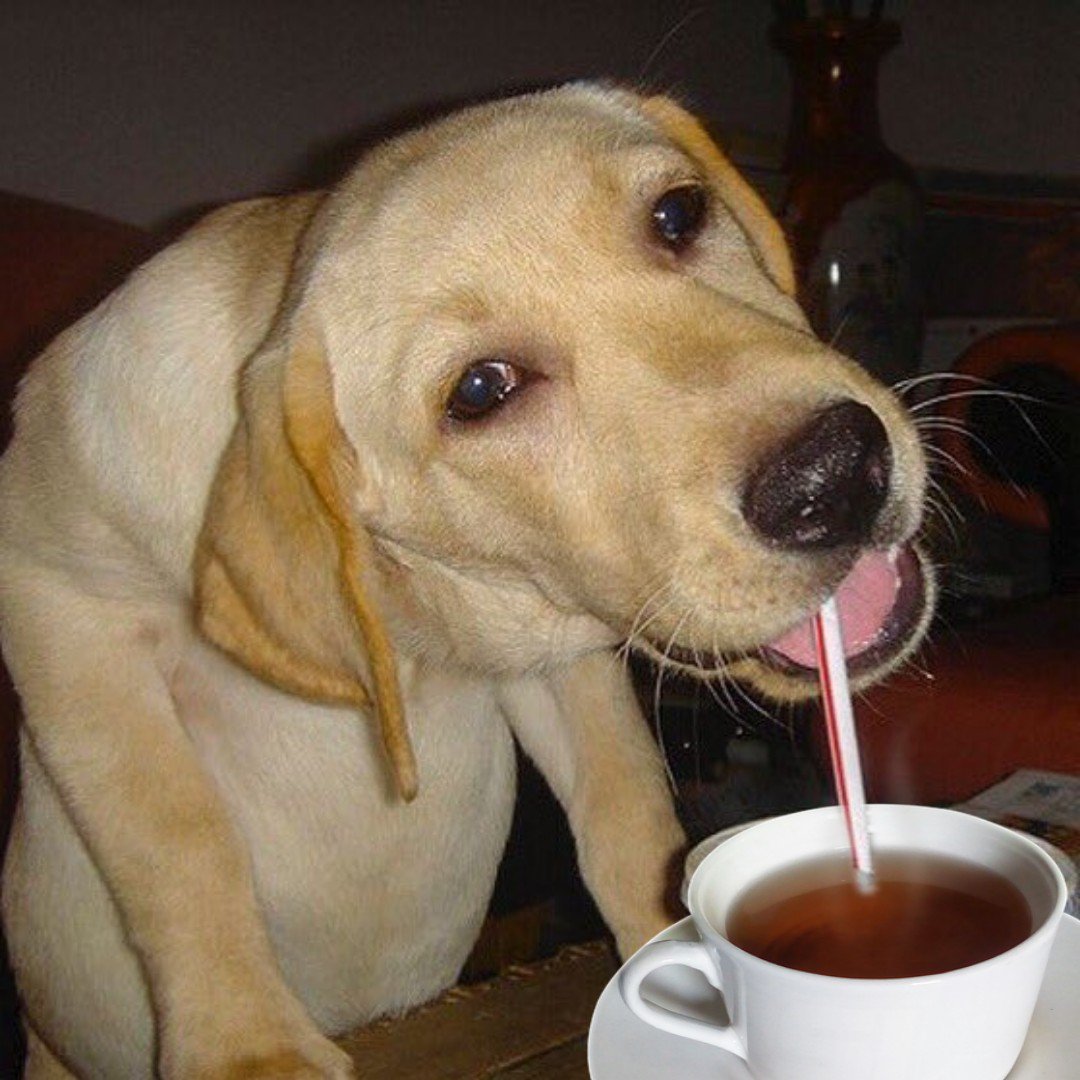  Anyways.... Happy birthday Malia Obama! 