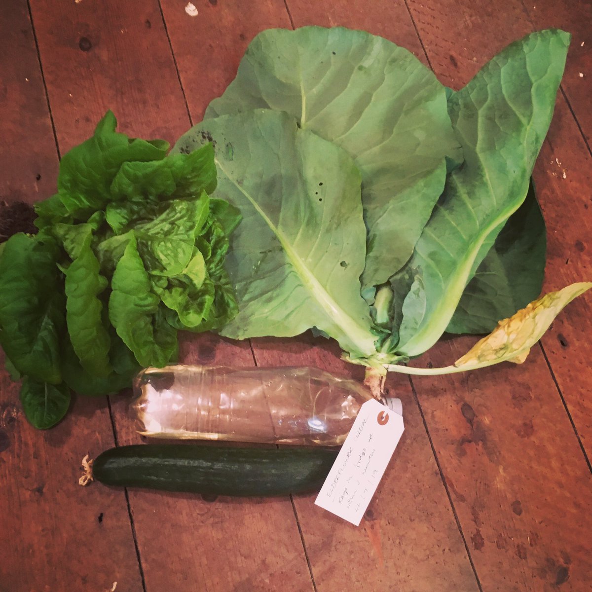 FellsidePhysio's tweet photo. What lovely lovely clients I have, came home with some lovely gifts today. Thankyou all 🥰 #fellsidephysio #thankyou #giftsfromclients #lettuce #elderflowercordial #cabbage #cucumber #chartered #mobile #physio #keswick #allerdale #cumbria #lakedistrict #cockermouth https://t.co/QXIUxWkAms