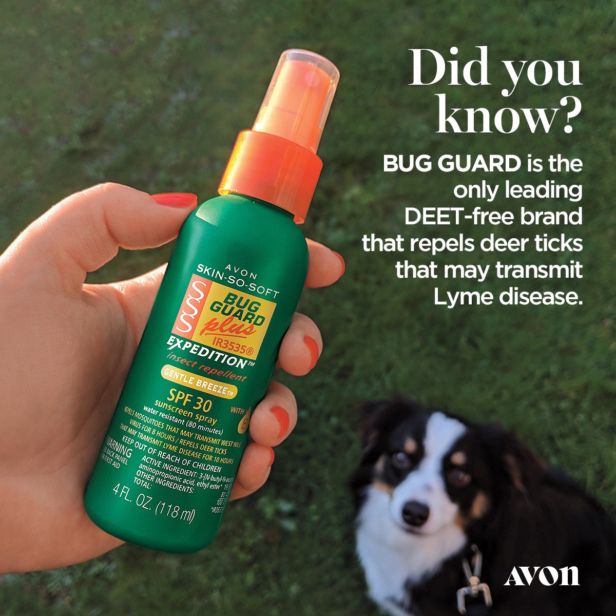 hall_bethC's tweet image. go.youravon.com/3f3szf