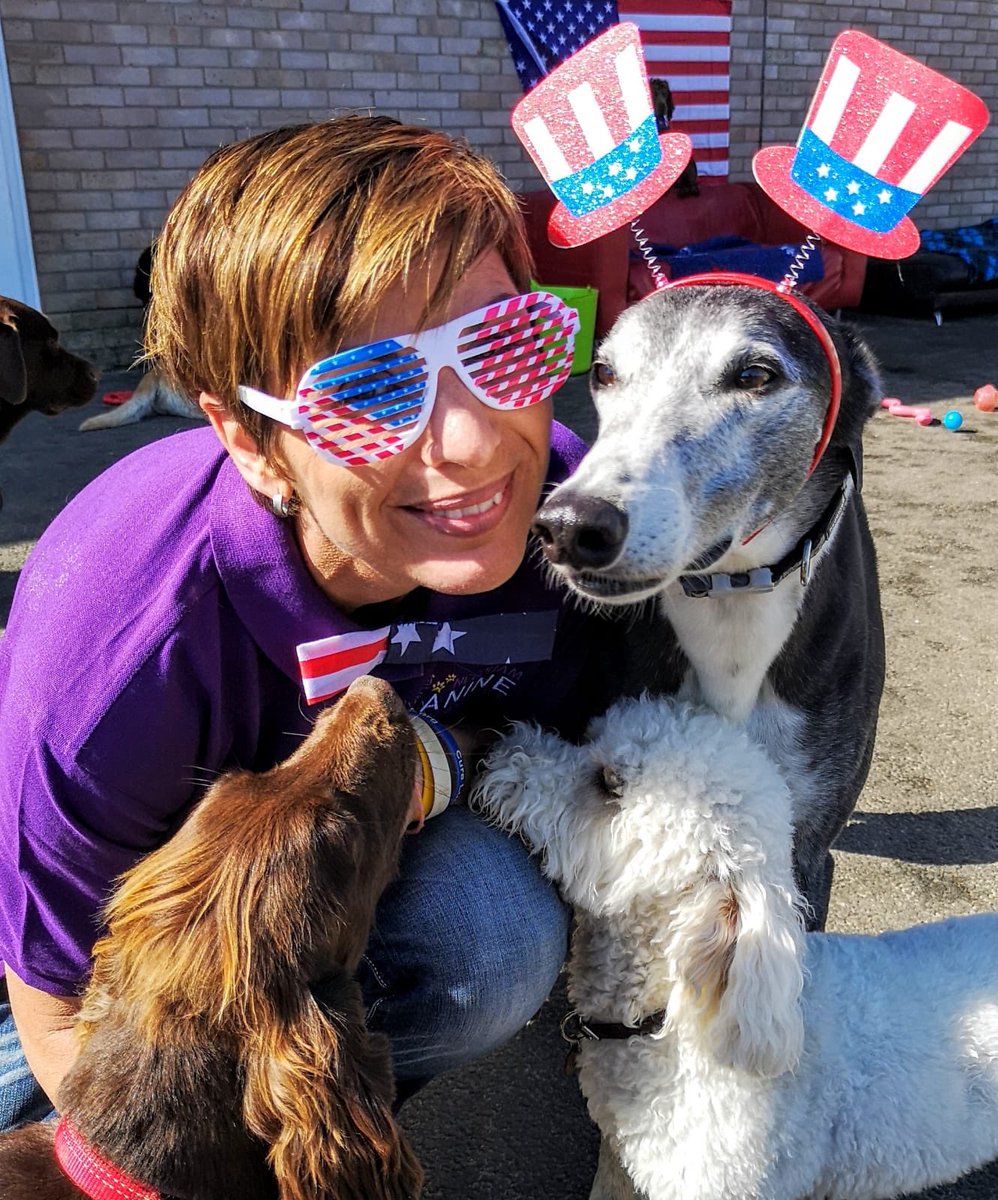 NeedhamCanine's tweet photo. The American celebrating in style #FourthofJuly2019 #greyhound #doggylove #ratemydog #suffolk #crechelife https://t.co/0ovfq5hrcU