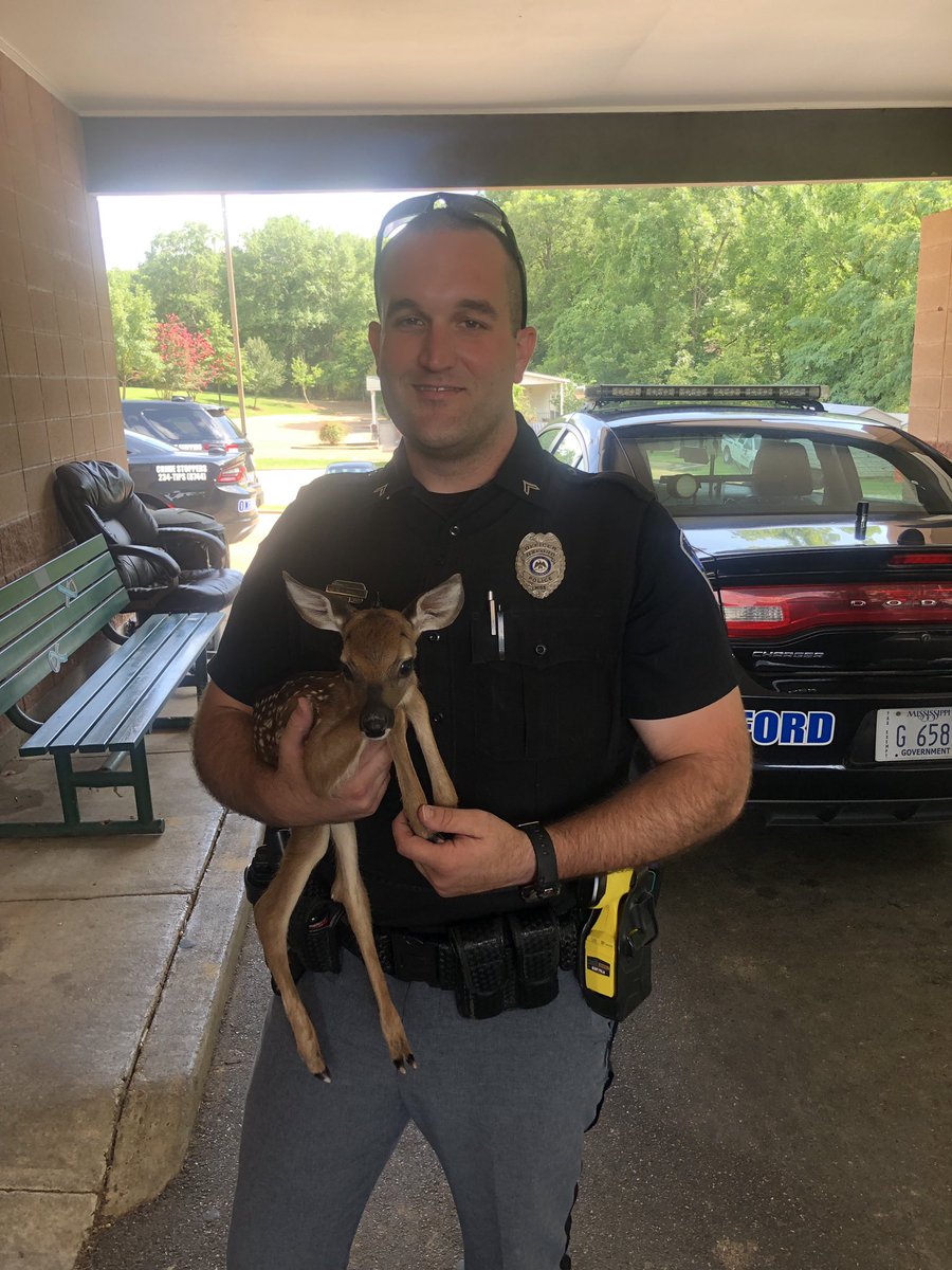 Found this little guy wondering in the road with no momma around. #4thofJuly