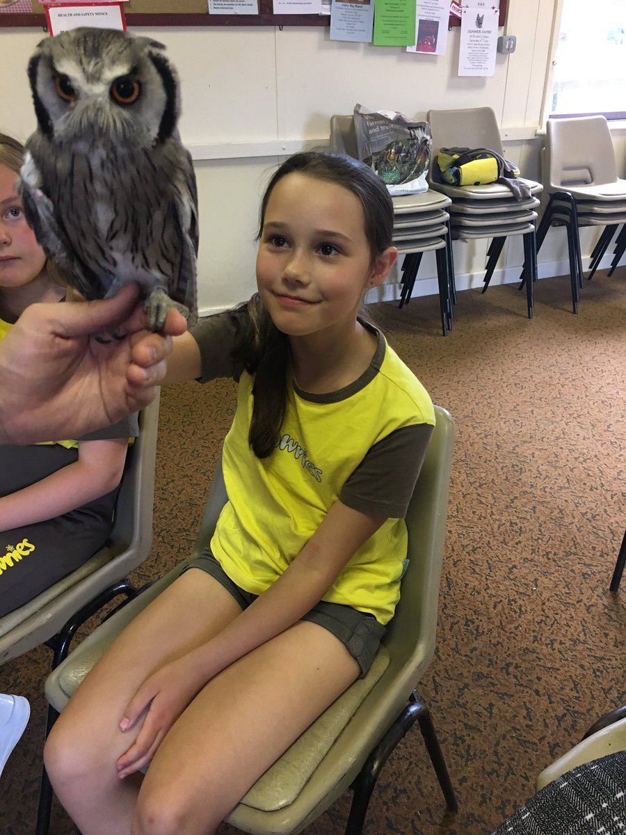 2ndWHbrownies's tweet photo. @scargill_school @fudgeandco.......We also saw an owl #2weekstogo https://t.co/wRUL3xbWoI