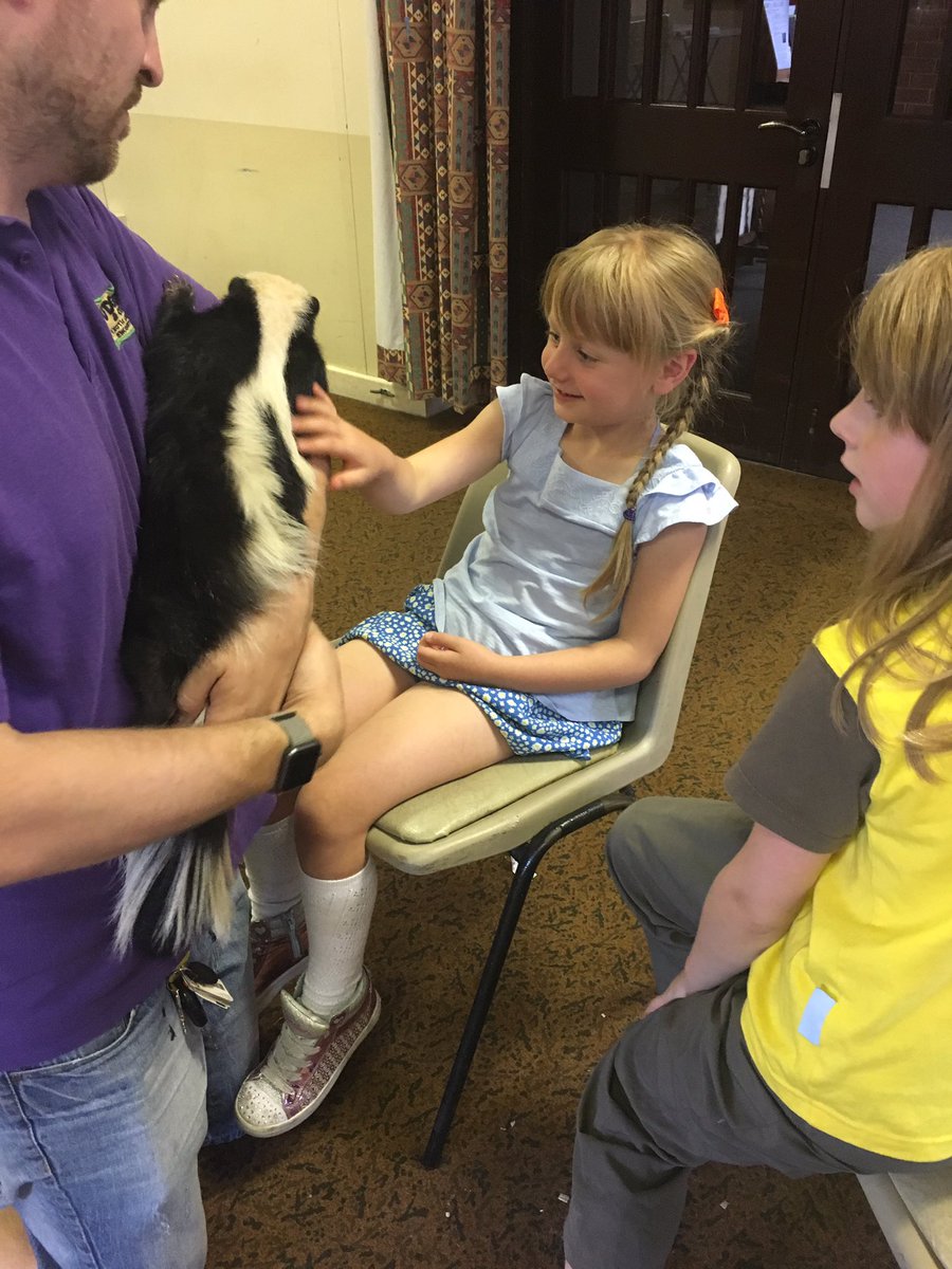 2ndWHbrownies's tweet photo. @scargill_school @fudgeandco .......and last but not least, the Brownies favourite, a skunk ..........#2weekstogo https://t.co/KRA5CSkTzc