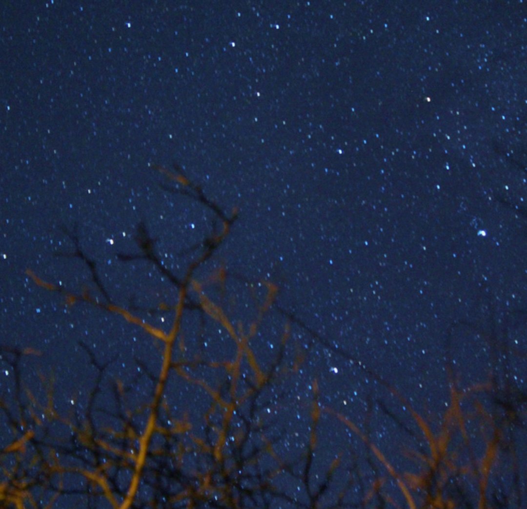 oops1945's tweet image. 나의 과거는 바꿀 수 없지만 
오늘 내 행동을 바꿈으로써 
나의 미래는 바꿀 수 있다.

- 좋은 글 중에서...