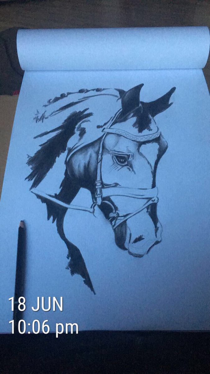 Willie Quinn tweet media