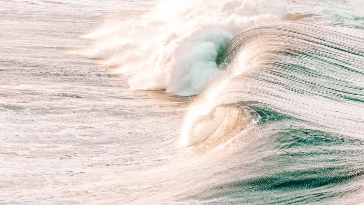 LOOKMATIC tweet media