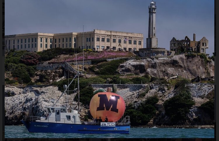 trumpchickensf's tweet photo. Cheers everywhere the #MPEACH sails. #ImpeachmentHearingsNow https://t.co/ndfjkThYN3