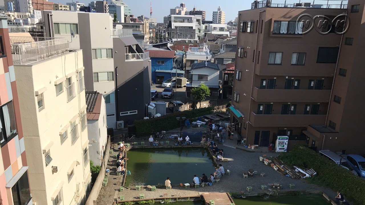 ドキュメント72時間 金曜の夜は ドキュメント72時間 今回は東京の杉並区阿佐ヶ谷にある 金魚の釣り堀 実はここ大正から90年以上続く老舗 昭和 平成そして令和 時代が移り変わり 周囲にマンションやビルが建っても ドキュメント72時間 金曜の夜は ドキュメント72時間 今回は東京の杉並区阿佐ヶ谷にある 金魚の釣り堀 実はここ大正から90年以上続く老舗 昭和 平成そして令和 時代が移り変わり 周囲にマンションやビルが建っても
