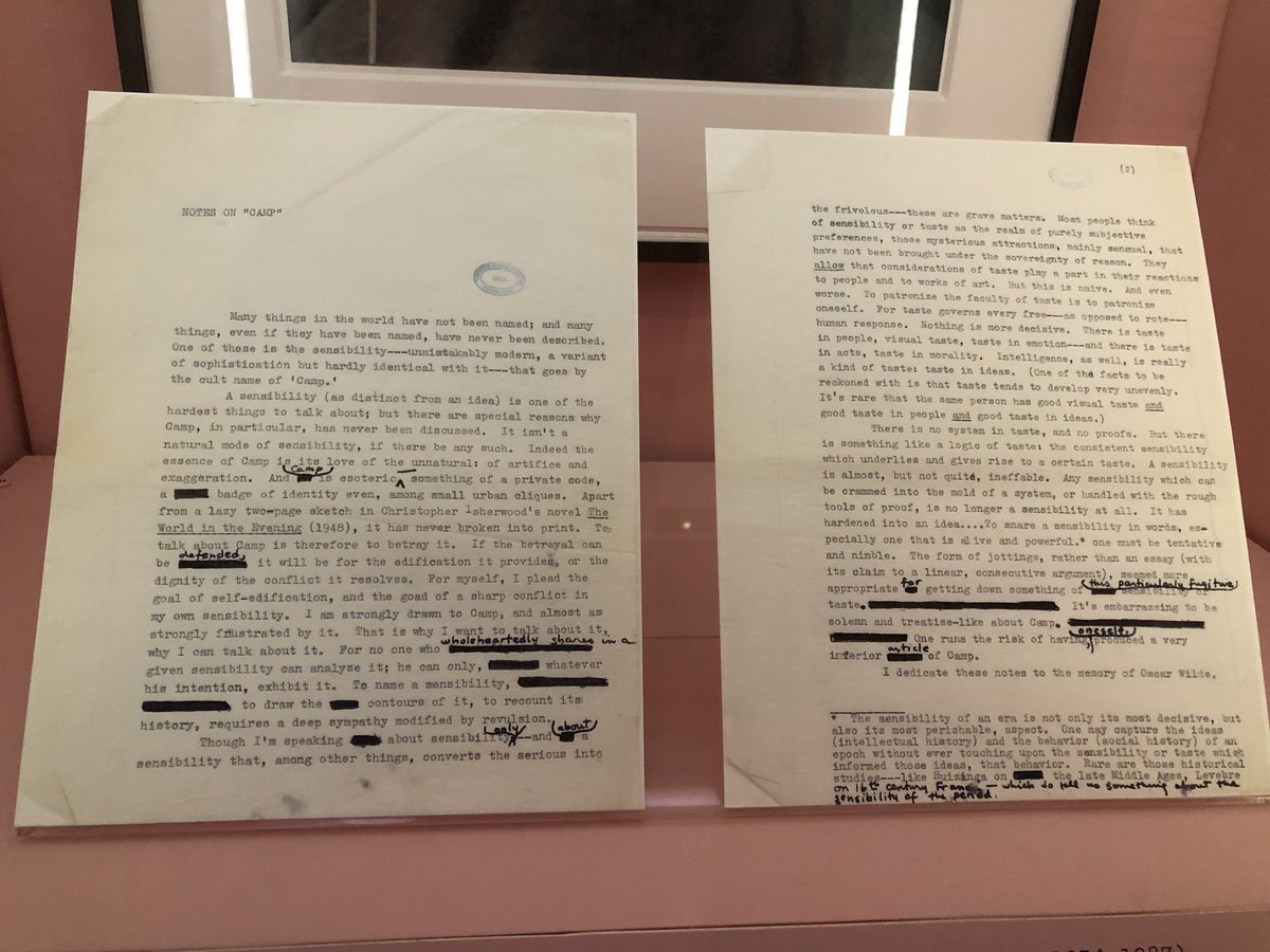 Leonardo1452's tweet image. Al centro del recorrido estaba de el ensayo de Susan Sontag que hace que #Camp salga del #EarlyMarket (algunos pocos) hacia un #EarlyMajority (las primeras mayorías) #NearFutureThinking