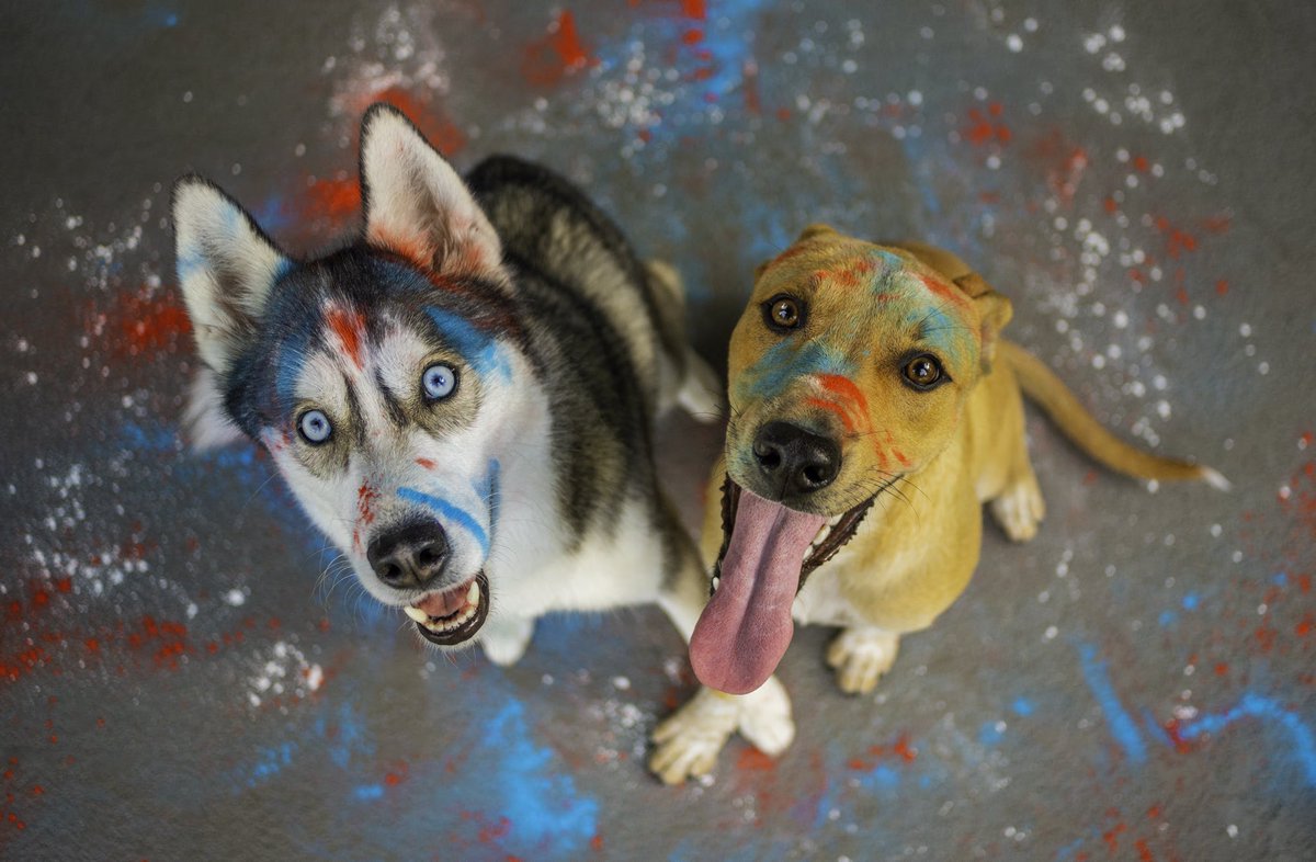 🎉Happy 4th of July!!🎉