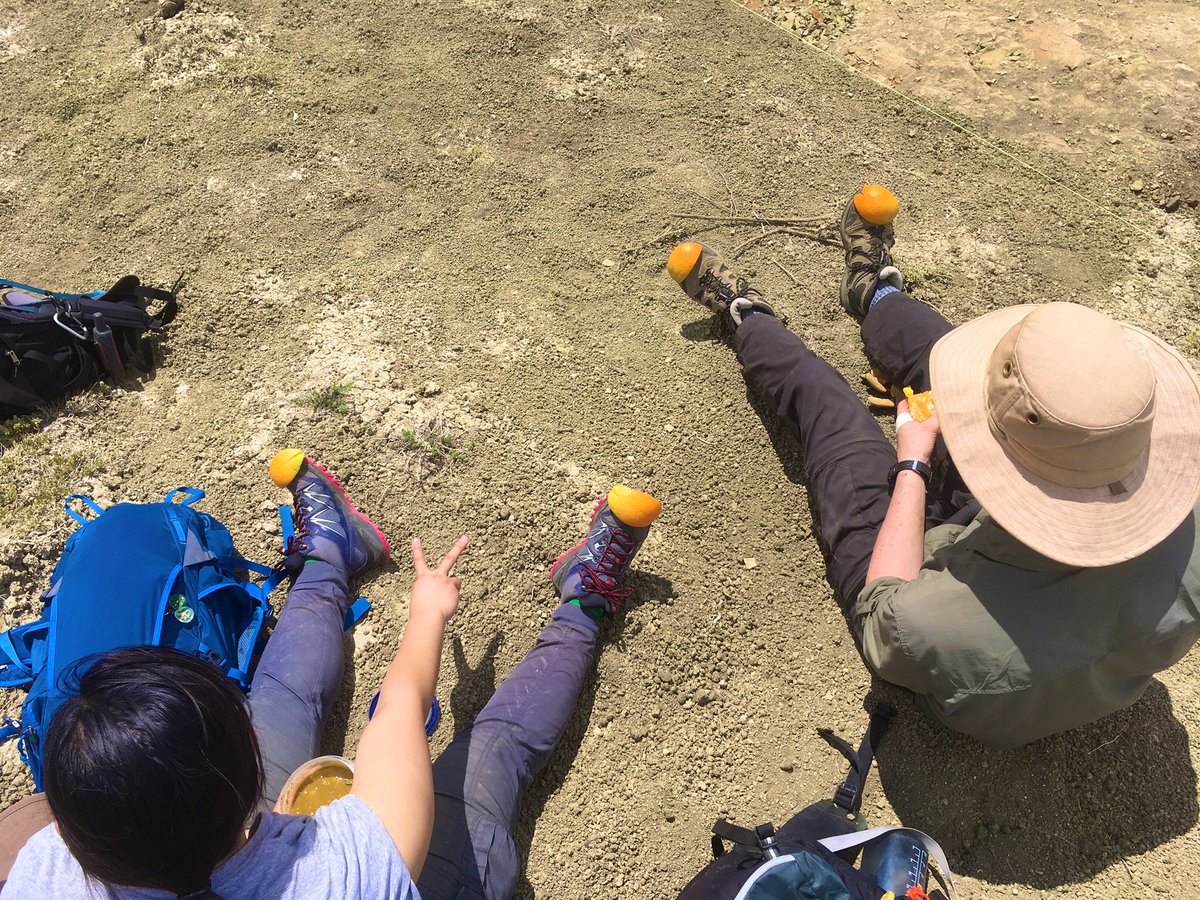 TaliaMLM's tweet photo. When pickaxing rock in a quarry, make sure to wear peel-toed boots๐ฅพ #SADP2019 #palaeontology #fieldwork https://t.co/mGArYXWUpg
