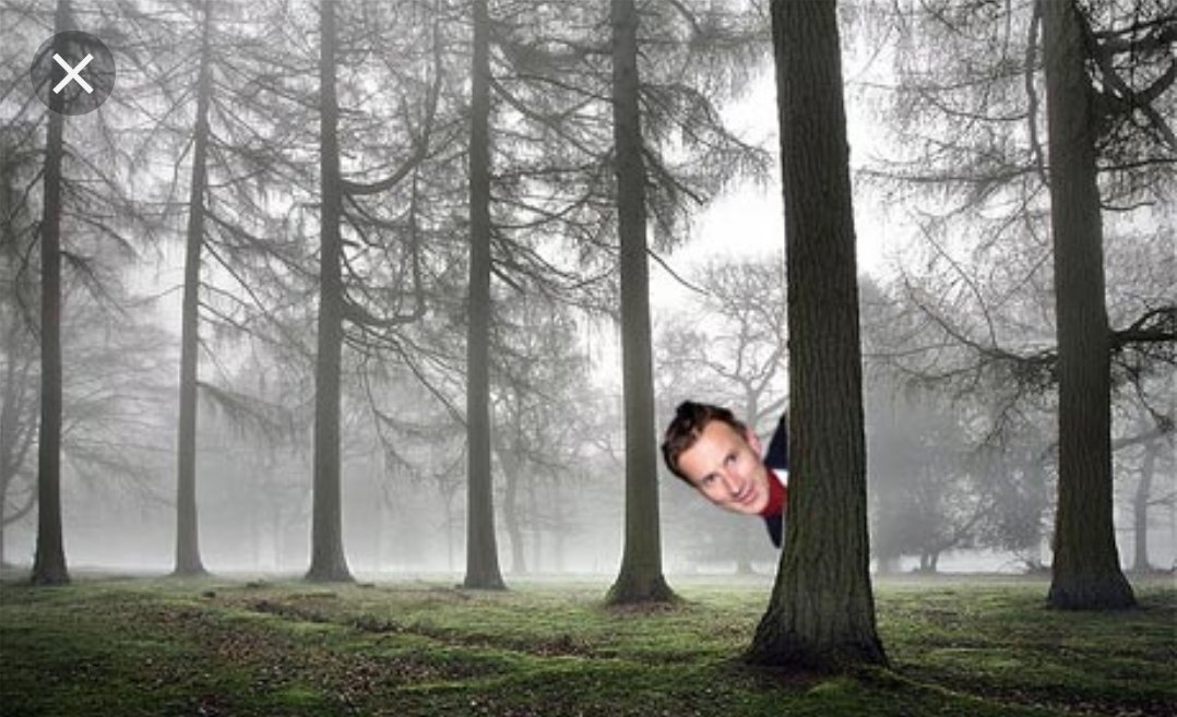 singhdasa's tweet image. Remember when Jeremy Fox Hunt ran from a pack of blood thirsty reporters and tried to hide behind a tree. #bbctw