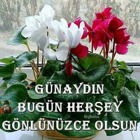 _Bigbaba's tweet photo. ⤵⤵⤵
⤵
İNŞALLAH DİYELİM ⁉
🌻
#günaydın #goodmorning #goodday 😀#goodhappy #goodhappyday https://t.co/clfKBUsMVc