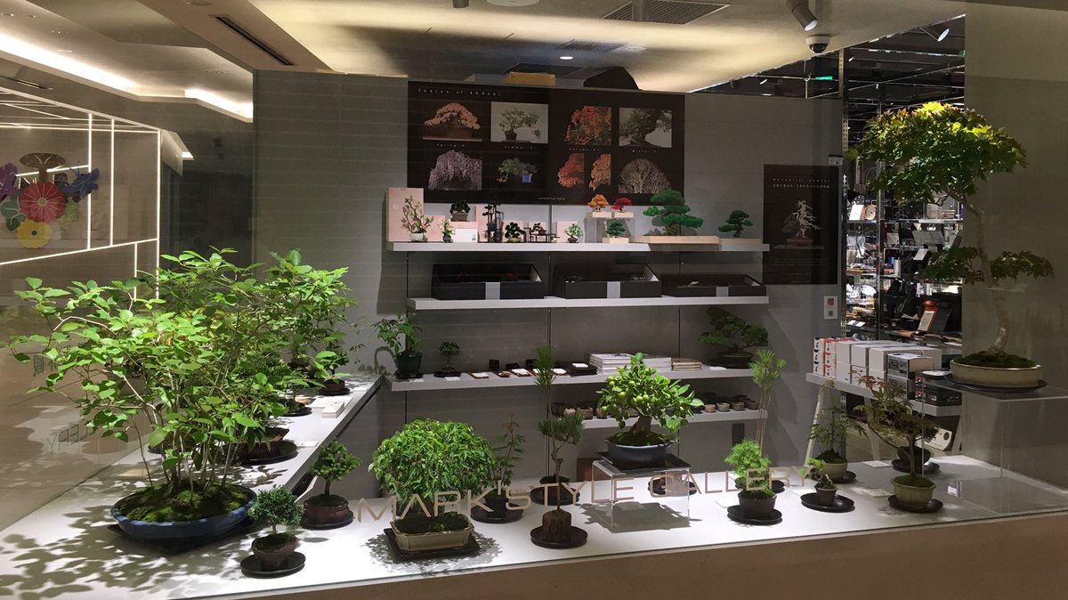 マークス Mark S 公式 در توییتر マークスタイル トーキョー Ginza Six店では 盆栽 が魅せる 生命力あふれる世界観 を開催しています 銀座 雨竹庵が厳選したさまざまな盆栽が彩る 小さなギャラリー庭園で 涼やかなひとときをお過ごしください ピ 盆栽