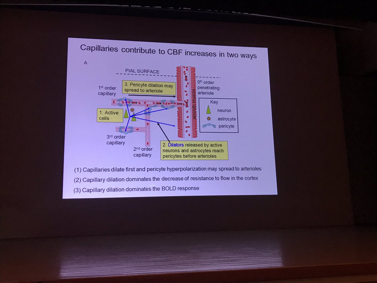 structural elements in particle physics and