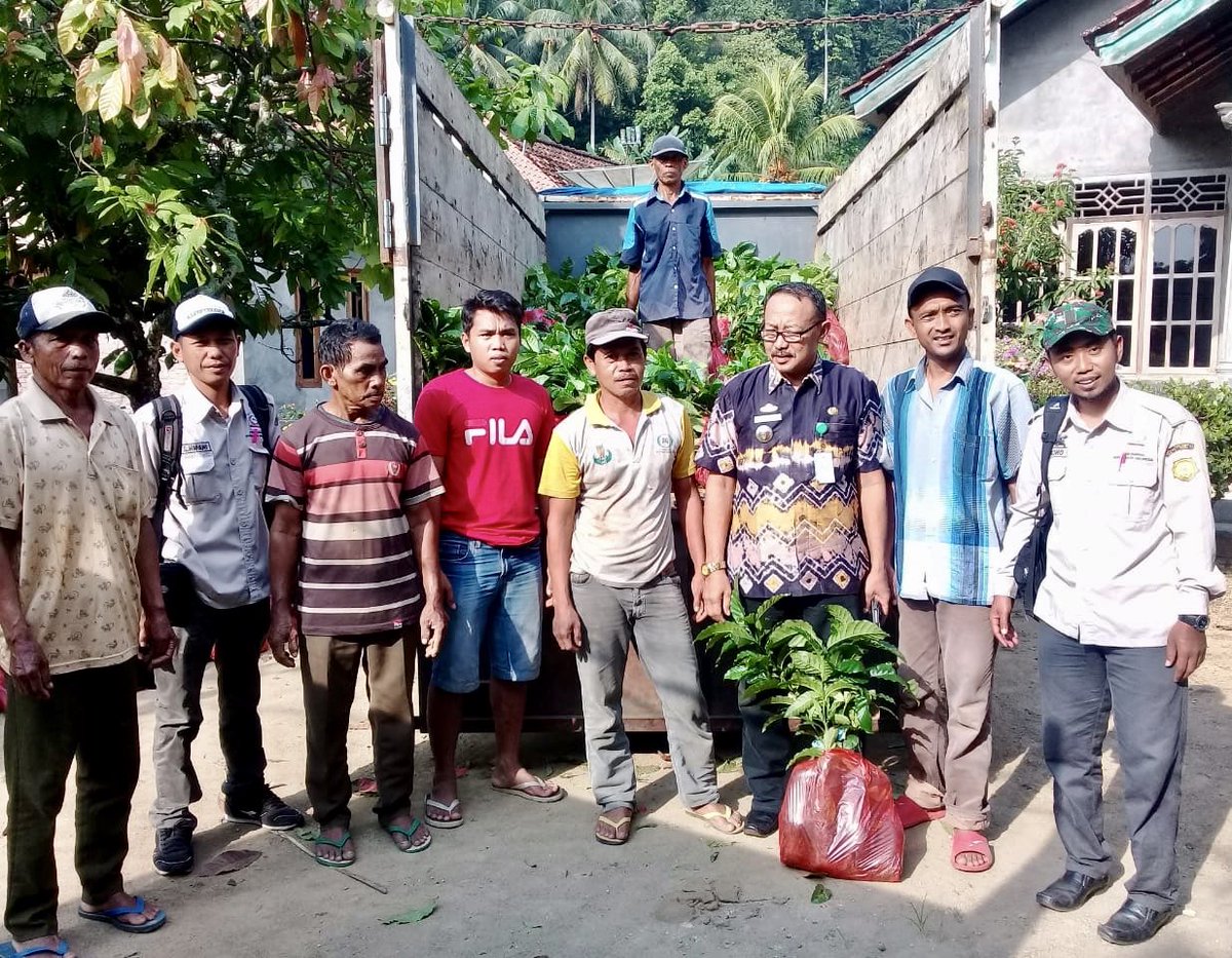 fkp2indonesia's tweet photo. #TKPPLPLampung || Pendampingan penyaluran bibit kopi robusta. Kegiatan peremajaan kopi robusta APBN 2019 seluas 200 Ha di Kab.Tanggamus @Amran_Sulaiman1 @kementan @ditjenbun @badansdm @BKPKementan @Balitbangtan @agroinovasi #PerkebunanJaya #FKP2I https://t.co/xXp0P9dHCK