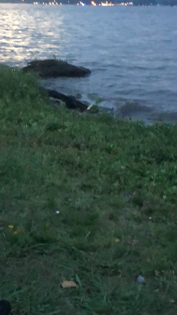 CKit_Eph2_8's tweet photo. Watching the waves coming in on the banks of Lake Guntersville reminds of the constant waves of grace that come to believers through Jesus Christ.  Where sin abounds, grace much more abounds.  #GraceForGrace #DepthsOfGrace #GraceAbounding https://t.co/lUawE57LCA