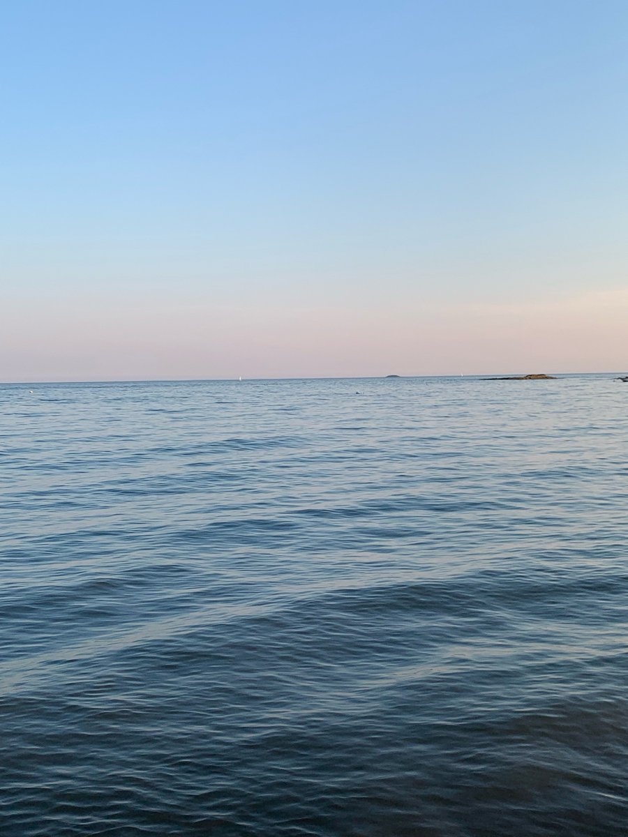 ea_adamsss's tweet image. Happy 4th #CloseTheCamps #endICE #freedomandjusticeforall