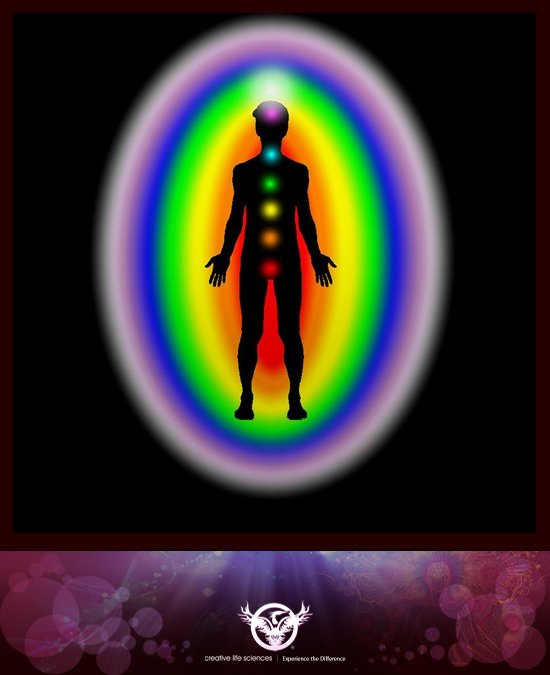 CreativeLifeSci's tweet photo. We have several chakras around our body. The vortexes which have the maximum impact on a human body are the 7 main #Chakras, running along the spine. They are #Muladhara #Svadhisthana #Manipura # Anahata  #Vishuddha #Ajna # Sahasrara. #energy #creativelifesciences https://t.co/nYwNEJ27tS